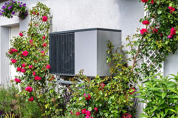 Graue Wärmepumpe an Hauswand umringt von Rosensträuchern mit pinken Blüten