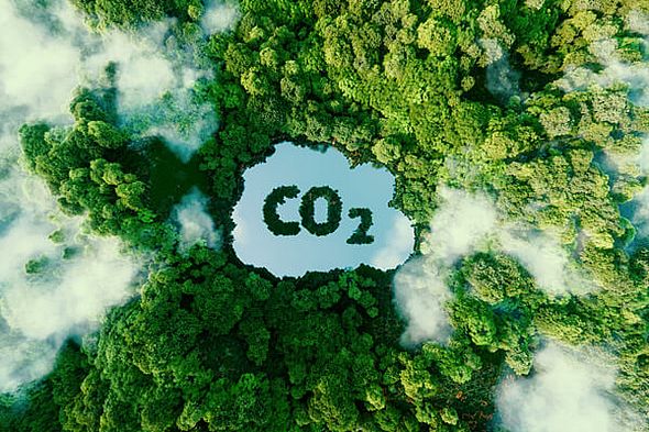 Vogelperspektive Wald über dem Wolken schweben; in mittler Wolke steht "CO2"